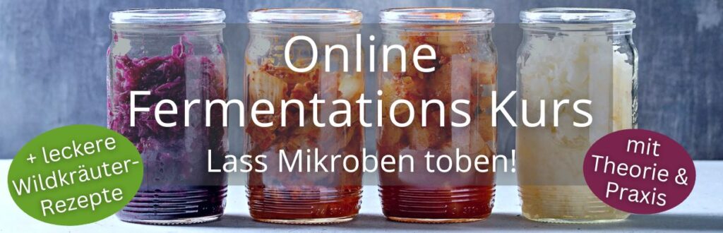 Philip Kunisch - Fermentierkurs